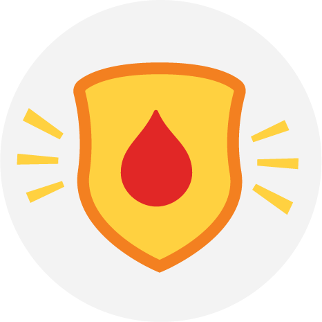icon of shield
