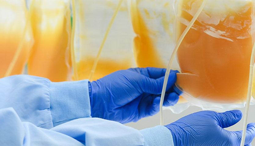 a scientist is handling plasma bags while wearing blue gloves