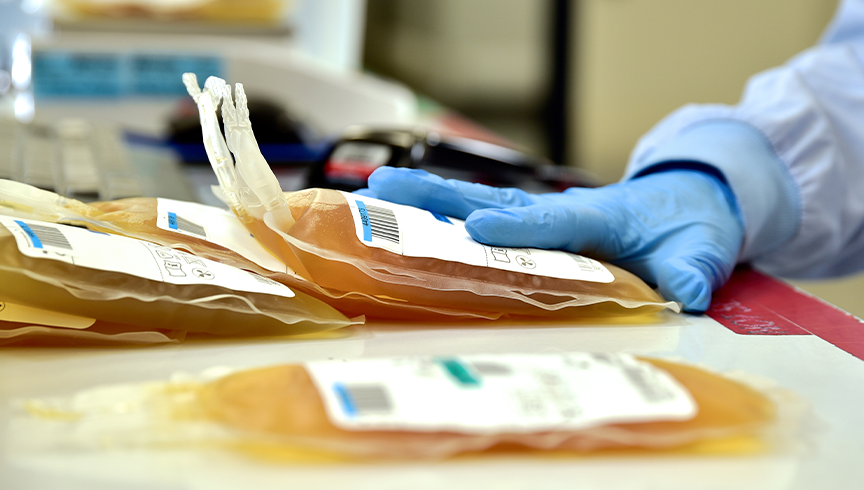 person with blue safety glove sorting bags of donated plasma