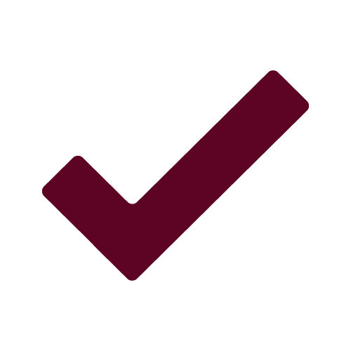 icon of a tick symbol
