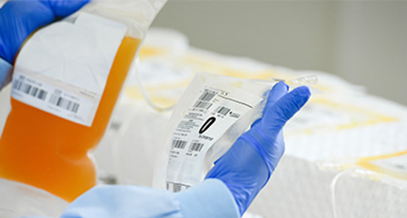 close up of a scientist examining donations, wearing a blue gown and gloves