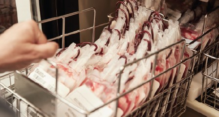blood bags laying in a tray