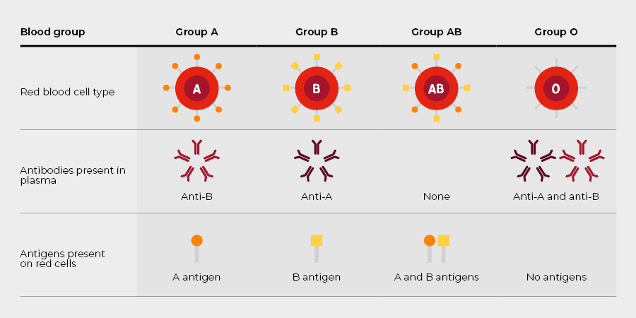 table of blood groups, red blood cell type, antibodies present in plasma and antigens present on red cells