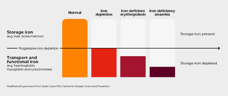 graph of LRI spectrum of iron deficiency