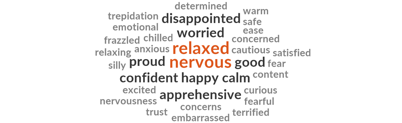 A word cloud describing the emotions experienced by novice donors such as worried, relaxed, nervous and happy