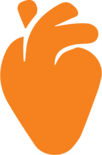 Orange illustration of an anatomical heart