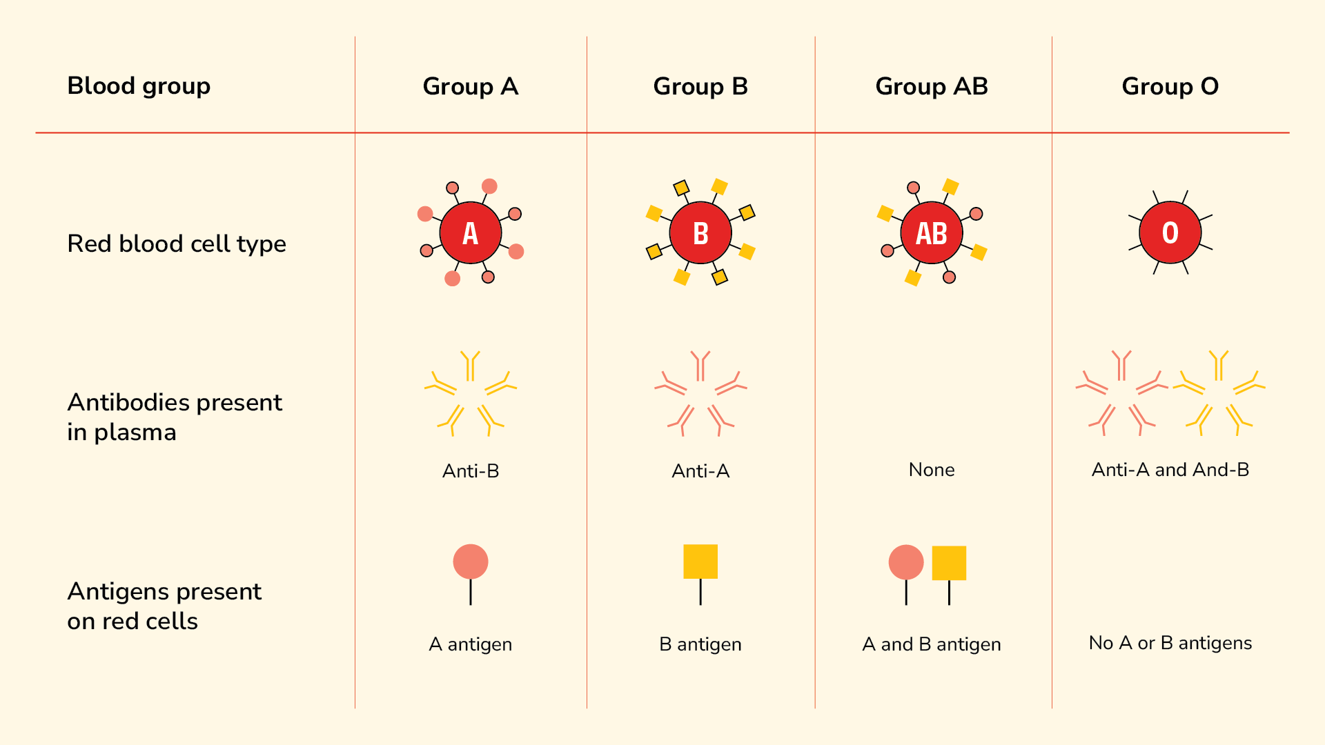 Image of blood groups antigens and antibodies
