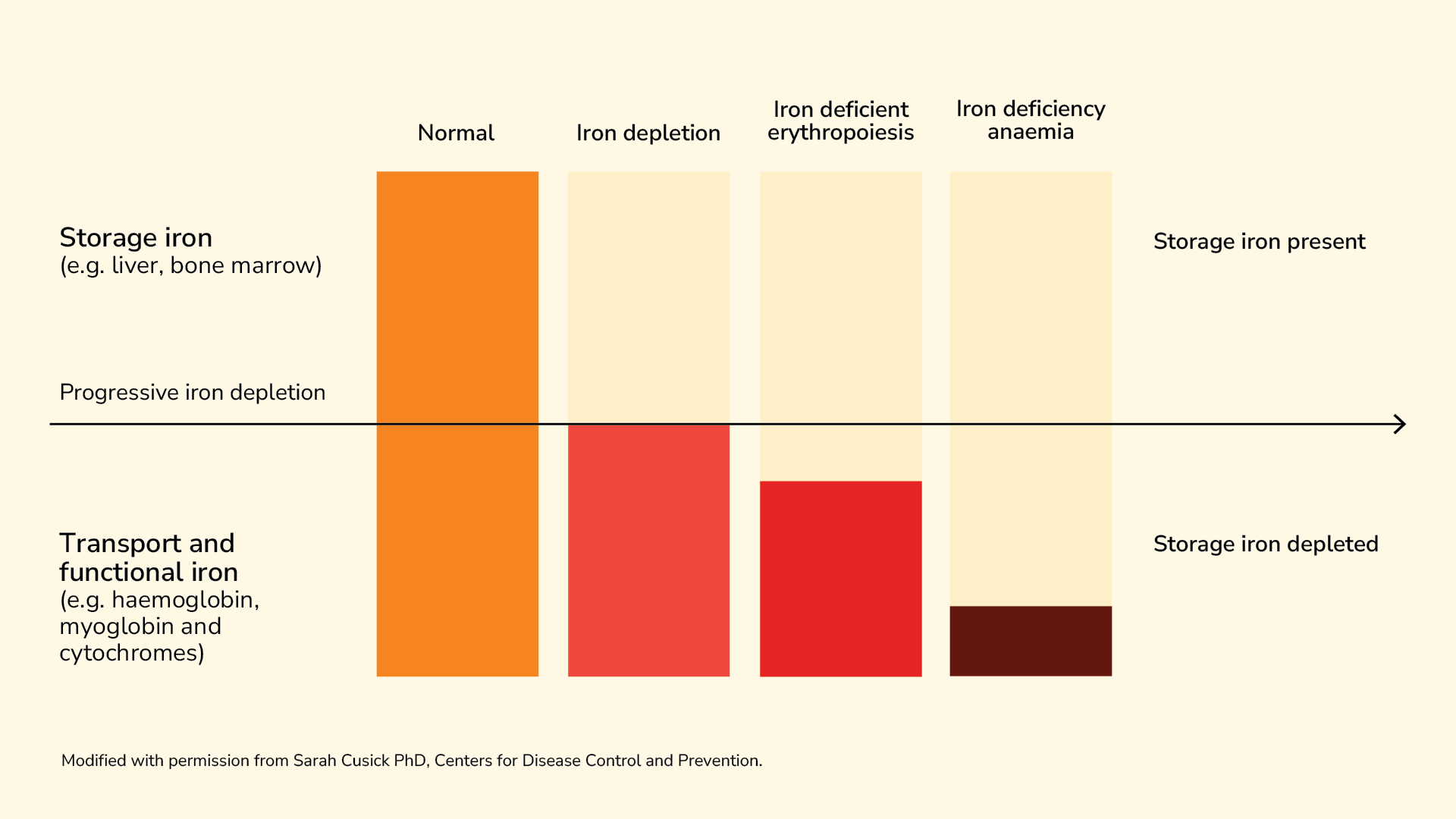 illustration of spectrum of iron deficiency