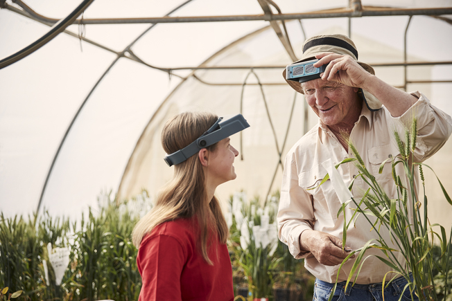 man with grandaughter inspecting wheat inside  agriculture tent