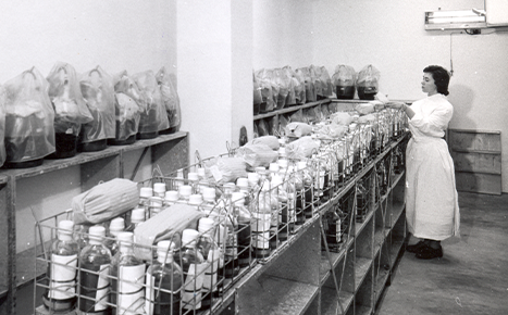 Black and white photograph of a nurse checking blood in storeroom.