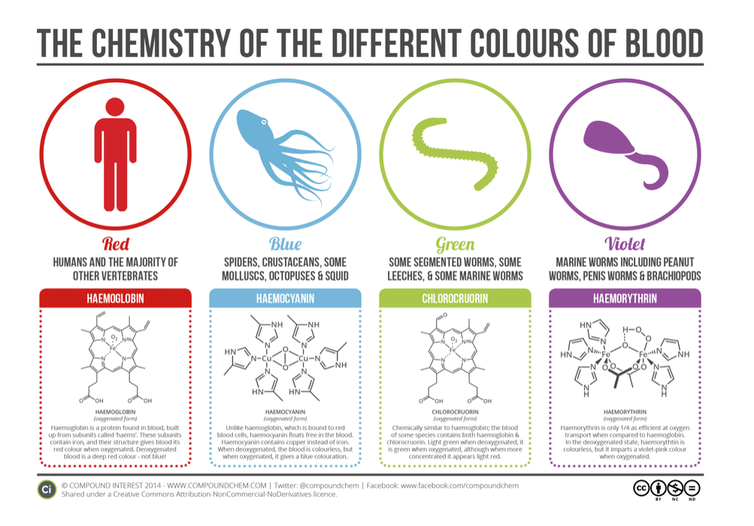 infographic of the chemistry of the different colours of blood