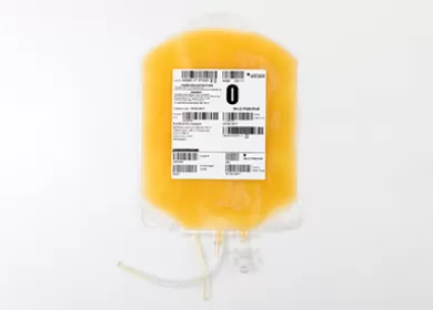 a bag of platelets