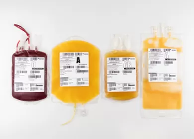 four donation bags with blood and plasma they are labelled O, A, AB and A
