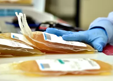 person with blue safety glove sorting bags of donated plasma