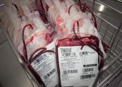 bags of blood