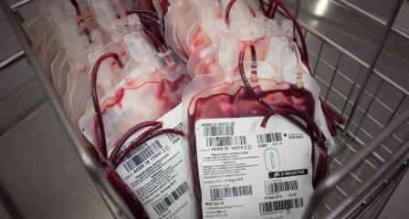 bags of blood