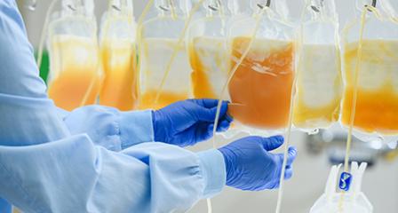 Lab technician's hand holding sorting bags of plasma  