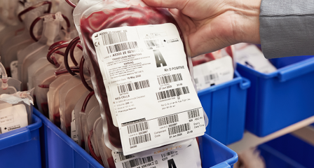 image of blood bags in a tray with person holding blood bag at the front