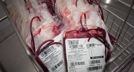 two blood bags picture close up