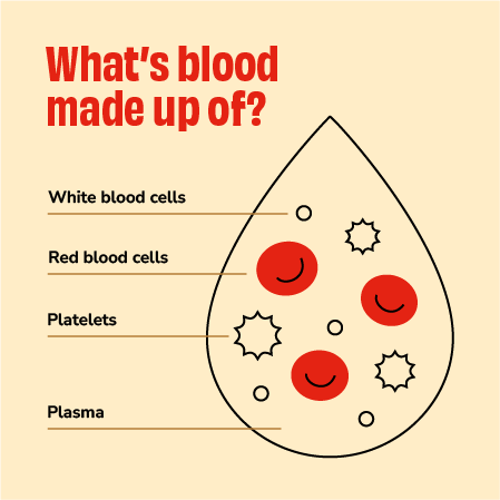 black outline of blood drop on taupe background containing white blood cells, platelets and plasma