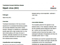 Nipah virus