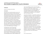 Borreliella burgdorferi Lyme disease thumbnail