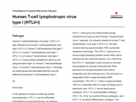 Human T-cell lymphotropic virus type I (HTLV-I) fact sheet image