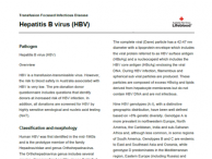 Hepatitis B virus (HBV)