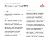 Human cytomegalovirus (HCMV)