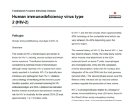 Human immunodeficiency virus type 2 (HIV-2)