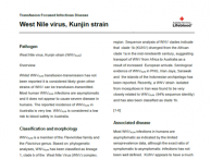 West Nile virus, Kunjin strain