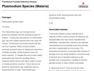 Plasmodium Species (Malaria)