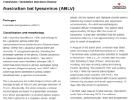 Australian bat lyssavirus (ABLV) factsheet thumbnail