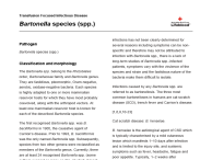 A transfusion focused infectious disease factsheet on Bartonella species (spp).