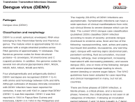 Dengue virus factsheet thumbnail