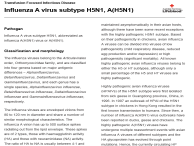 Influenza A virus subtype H5N1, A(H5N1) thumbnail image