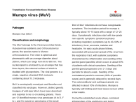 A transfusion focused infectious disease factsheet on Mumps virus (MuV).