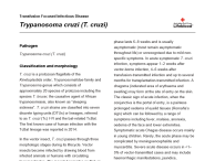 A transfusion focused infectious disease factsheet on Trypanosoma cruzi (T. cruzi).