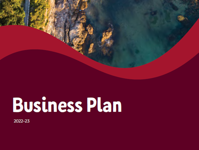 Front cover of Lifeblood's business plan