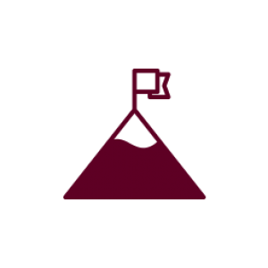 icon of a mountain with a flag at the top