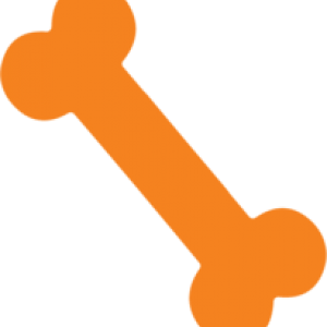 Icon of an orange bone to represent bone marrow donation, for Lifeblood
