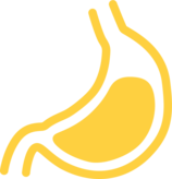 Illustration of a stomach in yellow