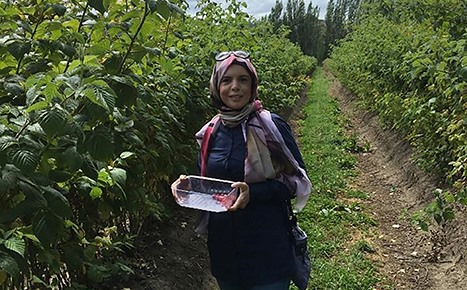 photo of amira standing in a field with green bushes to either side, she is wearing a multi coloured headscarf and blue shirt and smiling at the camera