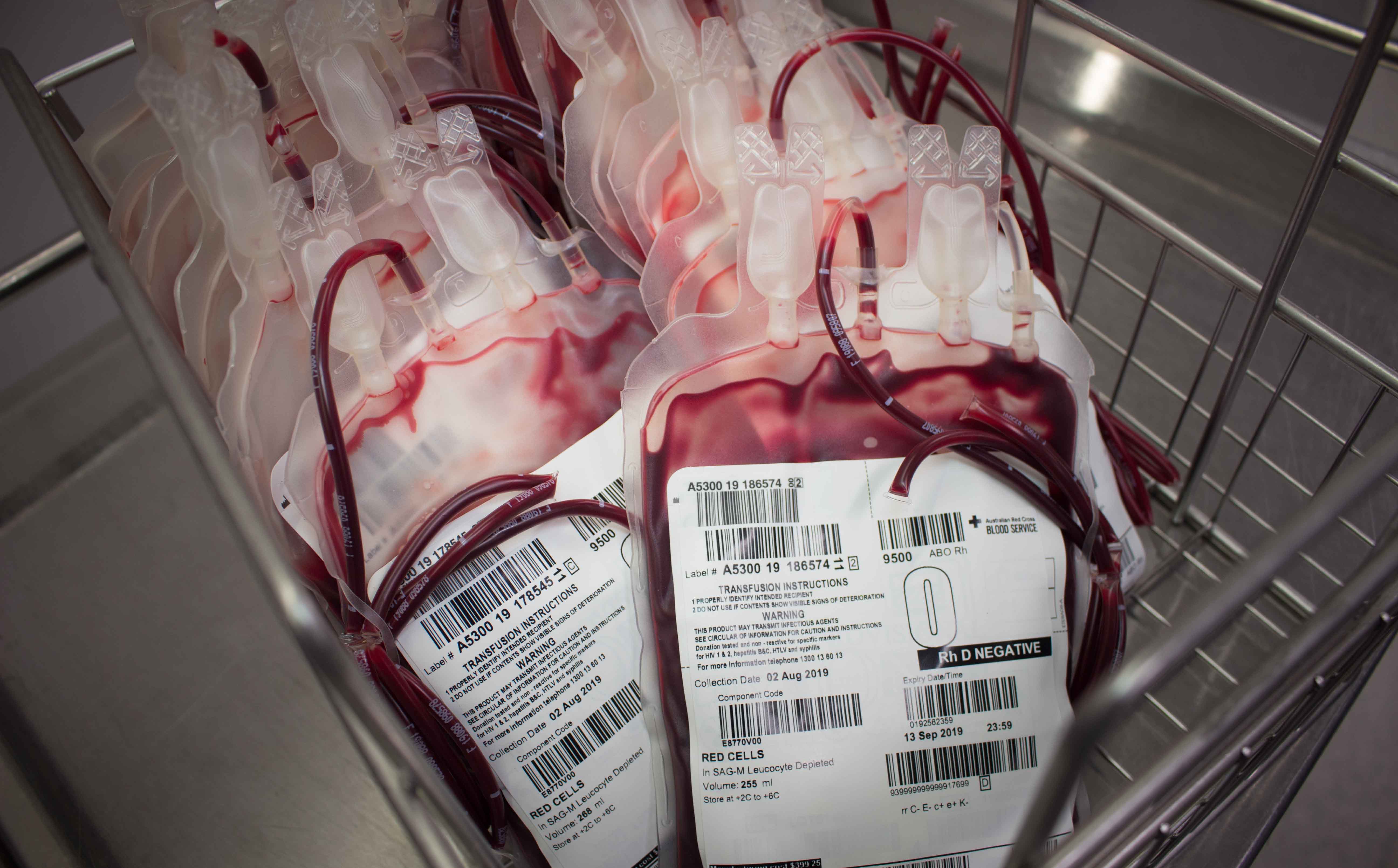 bags of blood