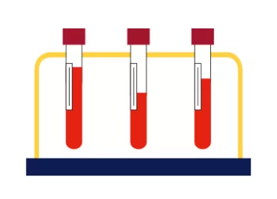 illustration of three test tubes containing blood on a rack