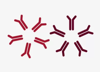 illustration of two antigens